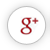 Google+ icon